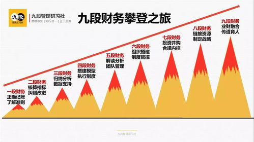 九段先生 九段財務,業(yè)財融合時代企業(yè)財務的九段攀登之旅