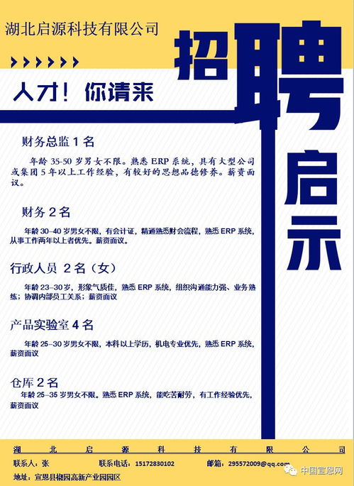 財(cái)務(wù)部門 企業(yè)穩(wěn)健運(yùn)營(yíng)的核心支柱——從招聘需求看財(cái)務(wù)管理的重要性